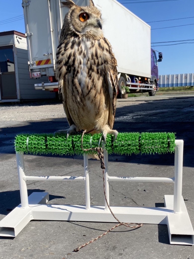 鉄製ボウパーチ